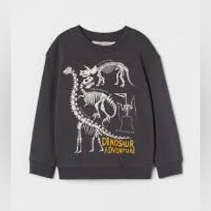 H&M Printed Dinosaur long sleeve sweatshirt.